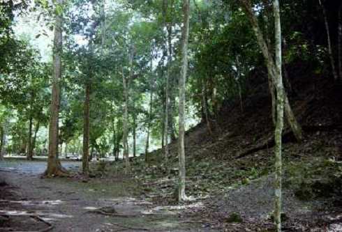 fb000419.jpg