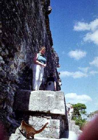 fb000429.jpg
