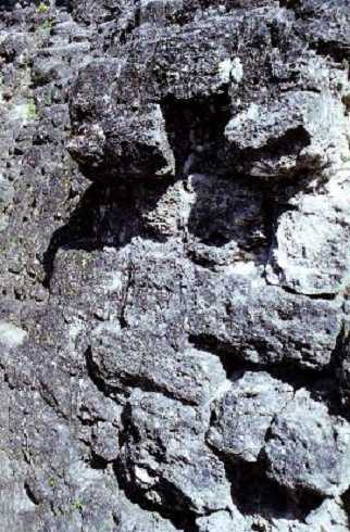 fb000432.jpg