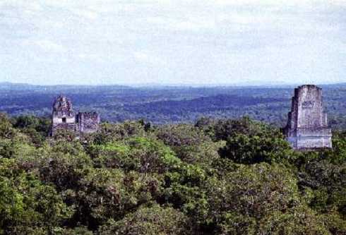 fb000435.jpg