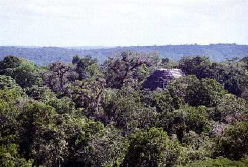 fb000436.jpg