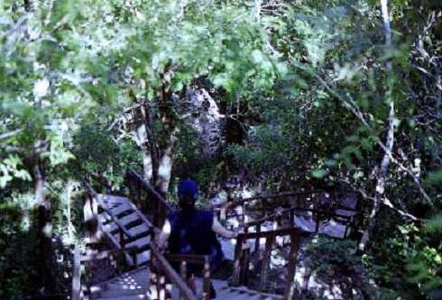 fb000439.jpg