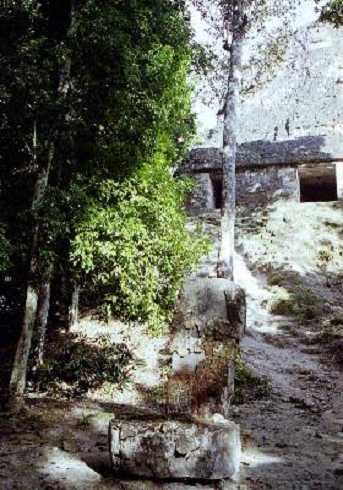 fb000443.jpg