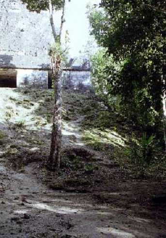 fb000444.jpg