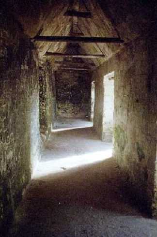 fb000446.jpg