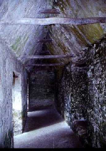 fb000450.jpg