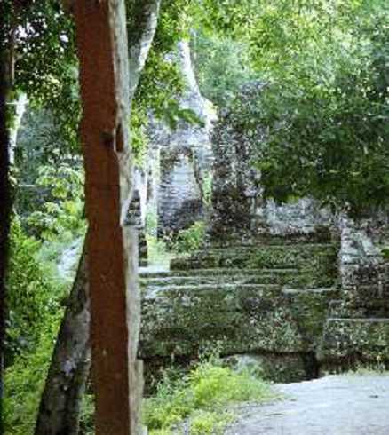 fb000470.jpg