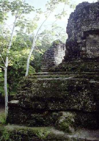 fb000471.jpg