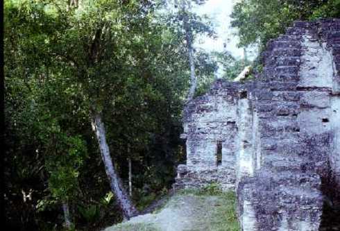 fb000475.jpg