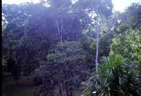 fb000477.jpg