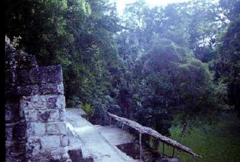 fb000478.jpg