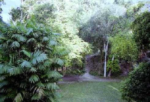 fb000493.jpg