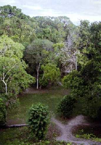 fb000498.jpg