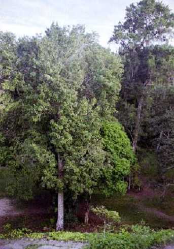 fb000499.jpg