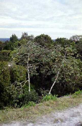 fb000503.jpg
