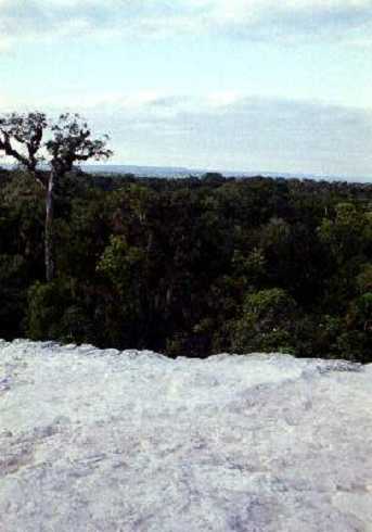 fb000510.jpg