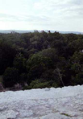 fb000512.jpg