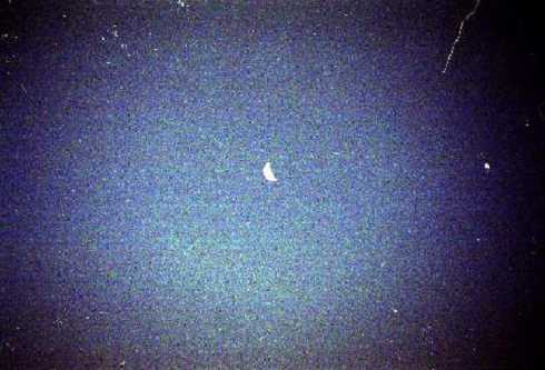 fb000542.jpg