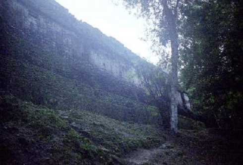 fb000549.jpg