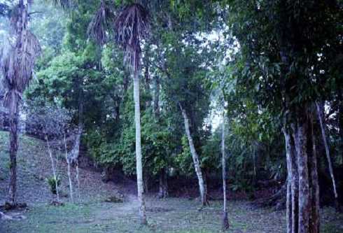 fb000553.jpg