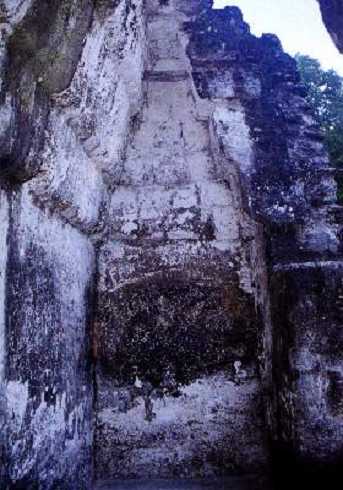 fb000556.jpg
