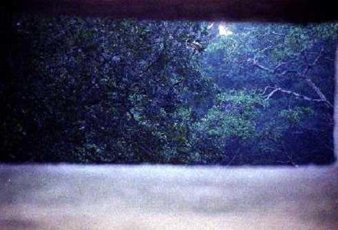 fb000559.jpg