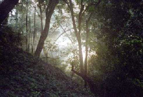 fb000561.jpg