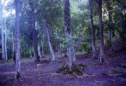 fb000574.jpg