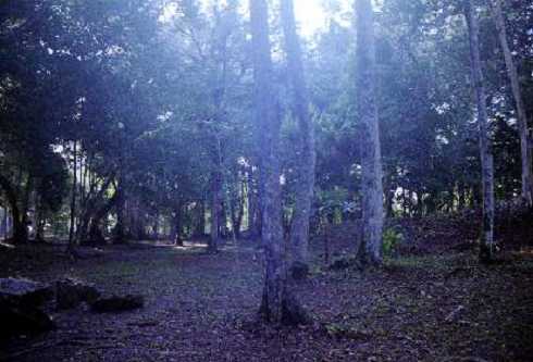 fb000576.jpg