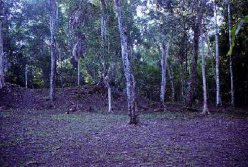 fb000577.jpg