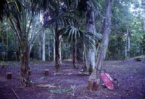 fb000580.jpg