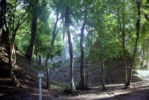 fb000581.jpg