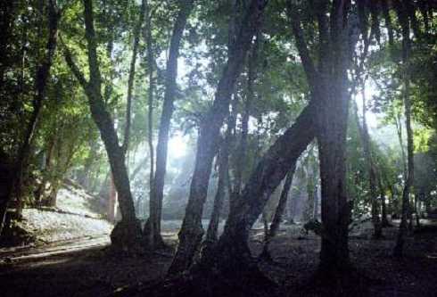 fb000582.jpg