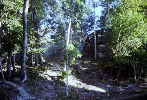 fb000584.jpg