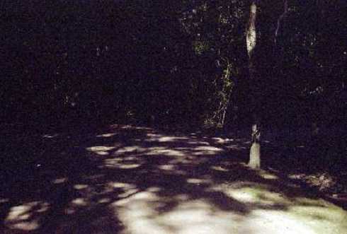 fb000589.jpg
