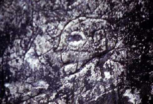 fb000590.jpg