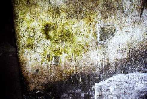 fb000593.jpg