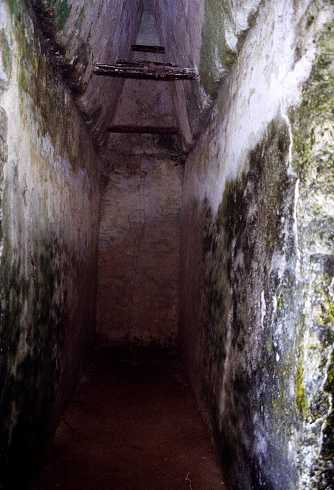fb000609.jpg
