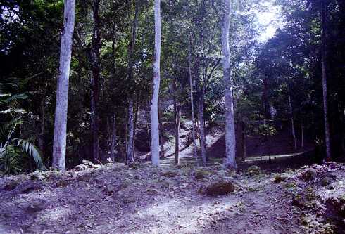 fb000618.jpg