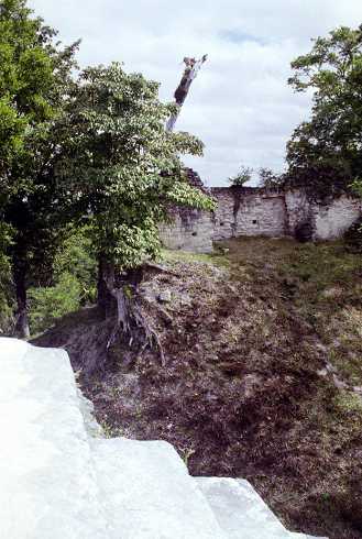 fb000655.jpg