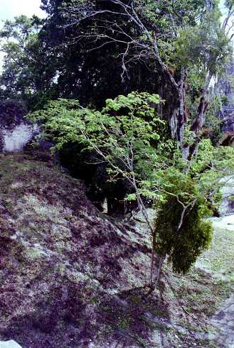 fb000656.jpg