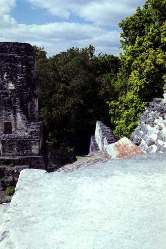 fb000661.jpg