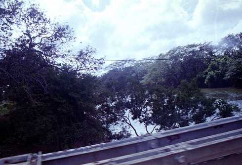 fb000676.jpg