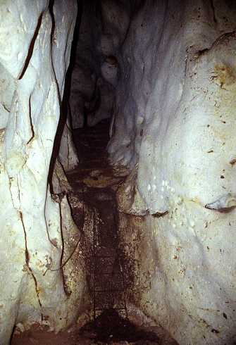 fb000800.jpg