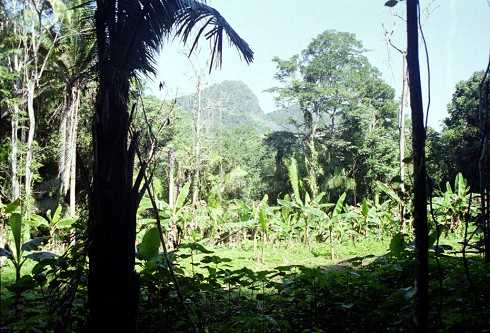 fb000802.jpg