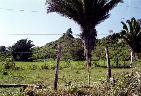 fb000805.jpg