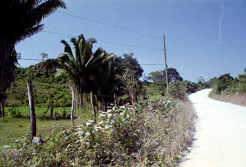 fb000806.jpg