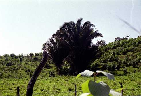 fb000808.jpg