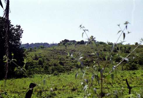 fb000809.jpg