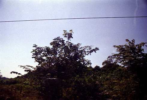fb000810.jpg